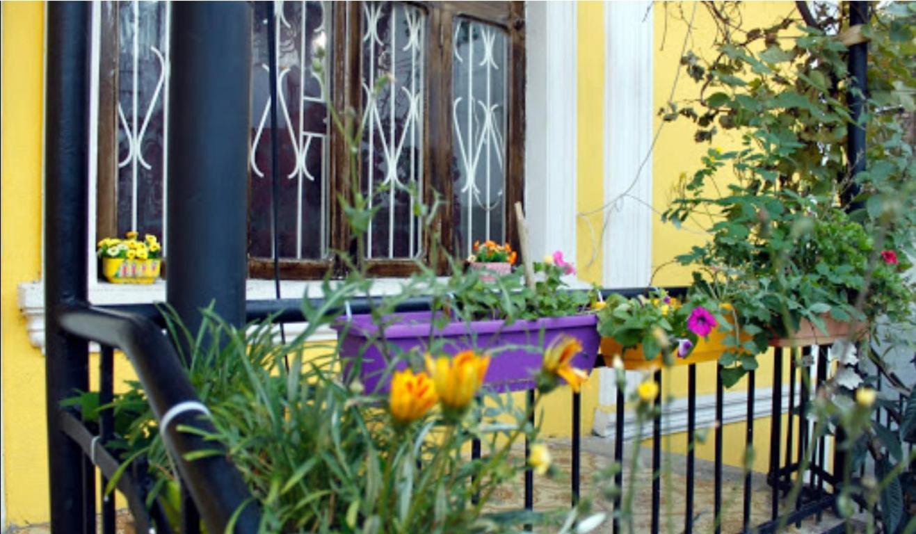 Colors Hostel Tbilisi Zewnętrze zdjęcie