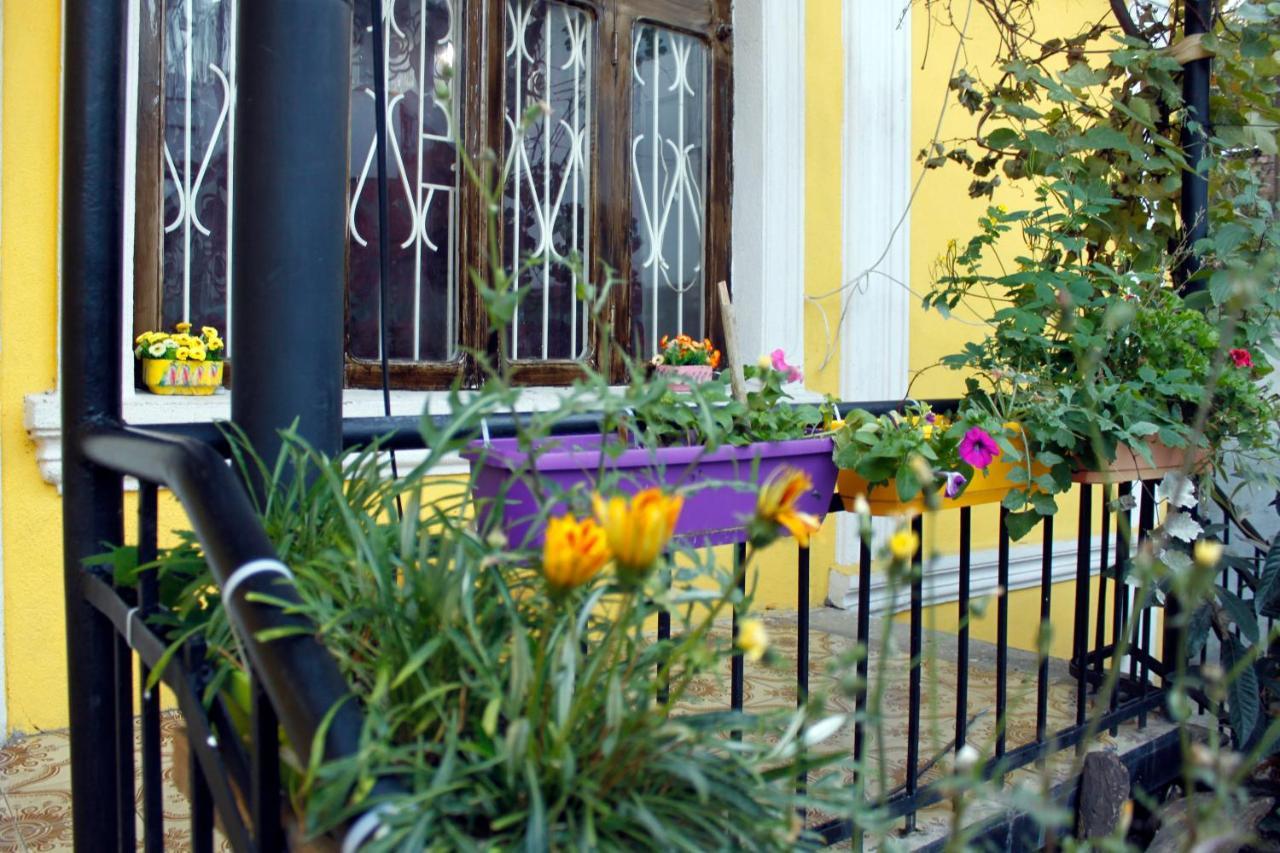 Colors Hostel Tbilisi Zewnętrze zdjęcie