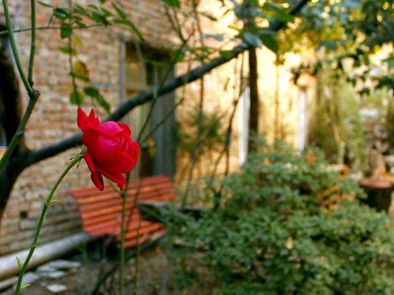 Colors Hostel Tbilisi Zewnętrze zdjęcie